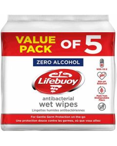 Antibacterial Skin Cleansing Wipes 5 X  Pouch 