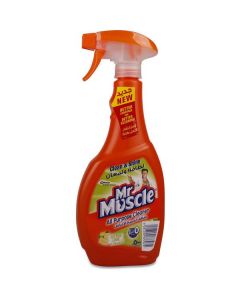 All Purpose Cleaner 5 In 1 12 X  Plastic Bottle (500 ml)