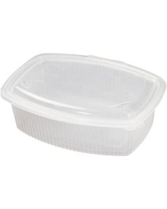 PP Rectangular Clear Container with Hinged Lid 200 X  Plastic Box 