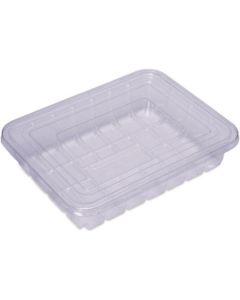 Rectangular Clear Plastic Container PET with Lid 360 X  Plastic Box 