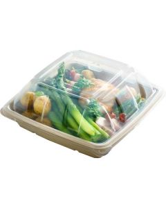 Biodegradable Large Square Container 300 X  Piece 