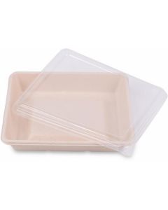 Biodegradable Rectangular Container 16 x 19 cm (L+) 300 X  Piece 