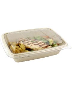 Biodegradable Rectangular Slope Container 300 X  Plastic Box 