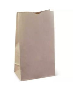 Brown Paper Bag #12   