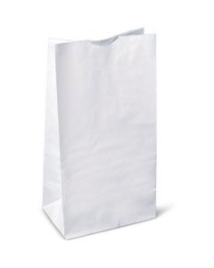 White Paper Bag #6   