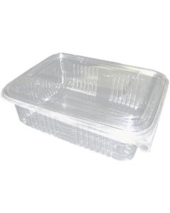 PET Rectangular Clear Container with Hinged Lid 350 X  Plastic Box 