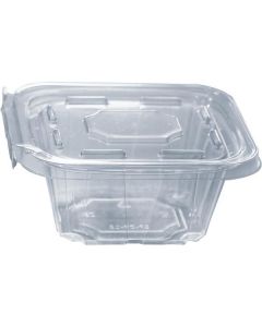 Square Clear Deli Container with Hinged Lid 200 X  Plastic Box 