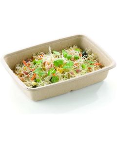 Biodegradable Rectangular Container Be Pulp 300 X  Piece 