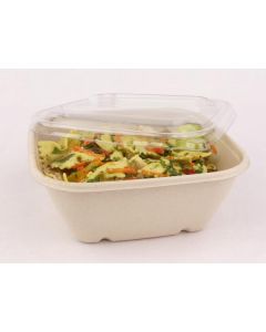 Biodegradable Square Bowl 500 X  Piece 