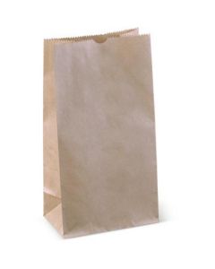 Brown Paper Bag #2   