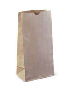 Brown Paper Bag #8   