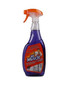 Windex - Advanced Glass Cleaner (Lavender) 12 X  Plastic Bottle (750 ml)