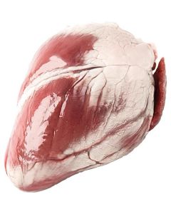 Frozen Lamb Heart   