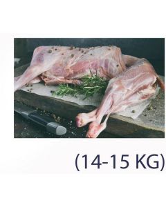 Frozen Whole Lamb Carcass 14-15 KG   