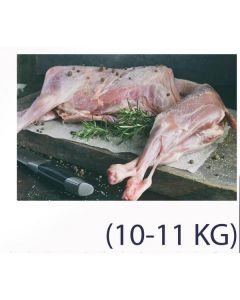 Frozen Whole Lamb Carcass 10-11 KG   