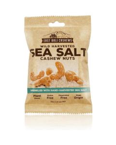 Sea Salt Cashew Nuts 10 X  Pouch 