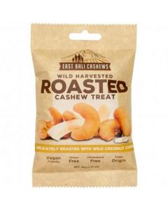 Roasted Cashew Treat 10 X  Pouch 