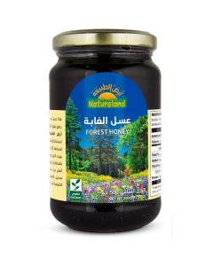 Organic Forest Honey 6 X  Glass Jar 