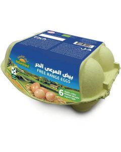 Organic Free Range Eggs 180 X  Piece 