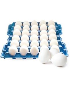 Fresh White Eggs (Saudi Arabia) 30 X  Piece 