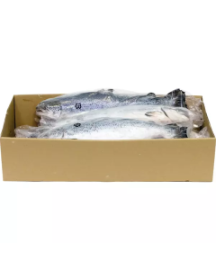 Fresh Salmon Whole Gutted 3-4 kg per Piece - Norway   