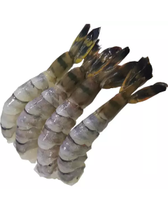 Frozen Peeled Deveined Black Tiger Shrimp Tail on 8/12 - India   