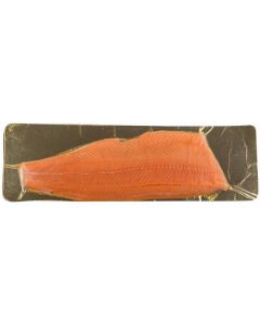 Frozen Salmon Fillet Skin on 1-2 kg per Piece   