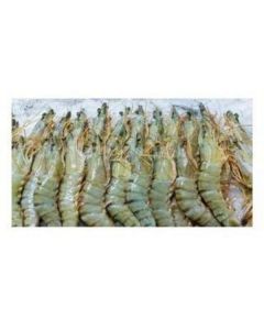 Frozen Head on White Shrimp U/10   