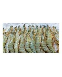 Frozen Head on White Shrimp 20/30 Piece   