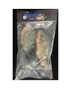 Frozen Tilapia Fish Whole 300-500   