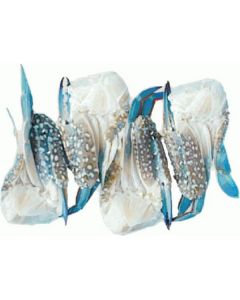 Frozen Blue Swimming Half Crab 250 - 350 gm   