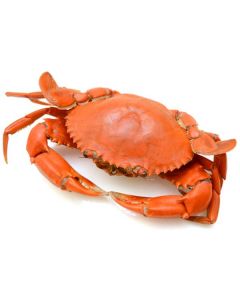 Frozen Crab 150-200 gm   