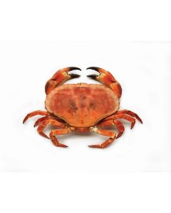 Frozen Whole Crab - UAE   