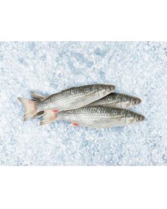 IQF Frozen Maid Fish Mix   