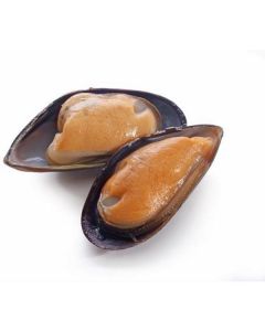 Frozen Half shell Mussels Medium   