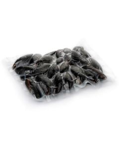 Frozen Whole Shell Mussels   