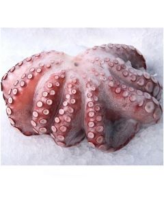 Frozen Octopus Whole IQF 2KG UP   