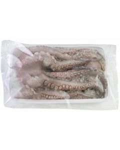 Frozen Squid Head & Tentacles   