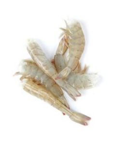 Frozen Shrimps Headless Easy Peel 8/12 - India   