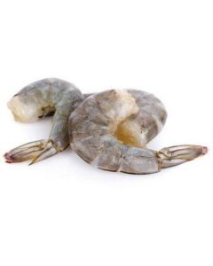 Frozen Peeled Undeveined Shrimp 200/300 - Taiwan   