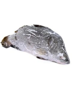 Frozen Whole Seabass Fish (Barramundi)   