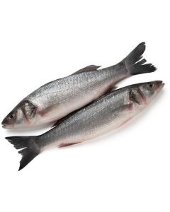 Frozen Whole Seabass Fish 600-800   