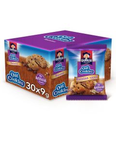 Oat Cookies with Raisins 240 X  Piece 