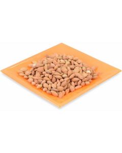 Apricot Seeds   